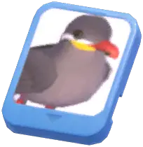 Info Card (Inca Tern)