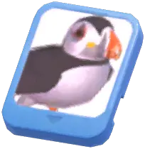 Info Card (Atlantic Puffin)