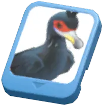 Info Card (Red-Faced Cormorant)