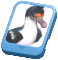 Info Card (Imperial Shag)