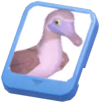 Info Card (Blue-Footed Booby)