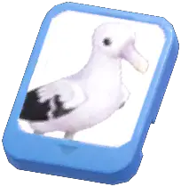 Info Card (Wandering Albatross)
