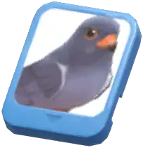Info Card (Amur Falcon)