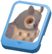 Info Card (Long-Eared Owl)