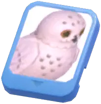 Info Card (Snowy Owl)