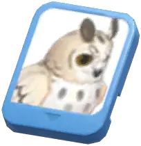 Info Card (Eagle-Owl)
