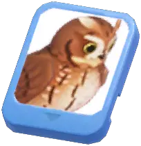 Info Card (Eastern Screech Owl)