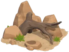 Rocky Mountain Bird Perch