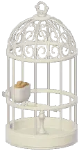 Classic Iron Birdcage