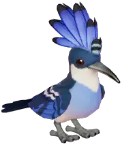 Blue Hoopoe