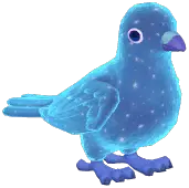Blue Starry Stock Dove
