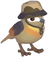 Brown Camping Sparrow
