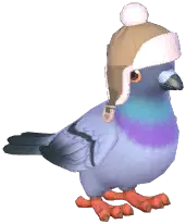Brown Hat Stock Dove