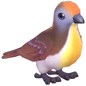 Cinnamon Ground Dove