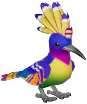 Colorful Hoopoe