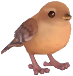 Eurasian Wren