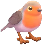 European Robin