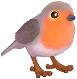 European Robin