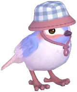 Gray Camping Sparrow
