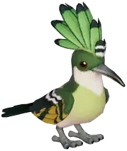 Green Hoopoe