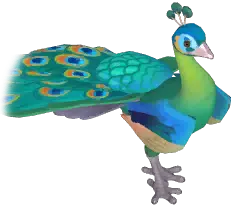 Green Peafowl