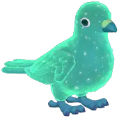 Green Starry Stock Dove
