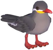 Inca Tern