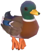 Mallard