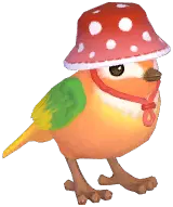 Orange Camping Sparrow
