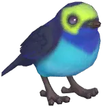 Paradise Tanager