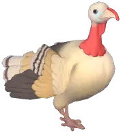 Royal Palm Turkey