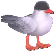 Tern