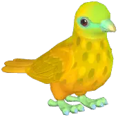 Wallace's Fruit Dove
