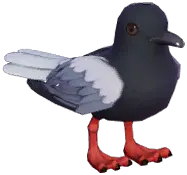 White-Winged Tern