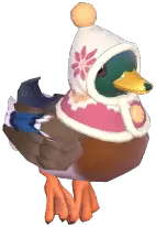Winter Mallard