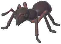 개미