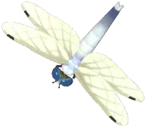 밀잠자리