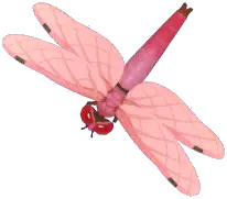찔레잠자리