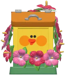 Donation Box