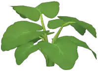 Green Velvet