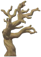 Eerie Twisted Dead Tree