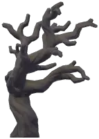 Eerie Twisted Dead Tree