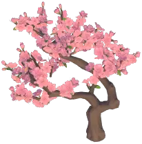 Plum Blossom Tree