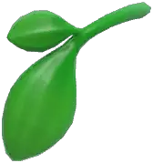 Leaf