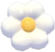 Daisy