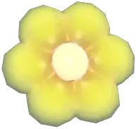 Daisy