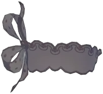 Seluna Lace Eye Veil
