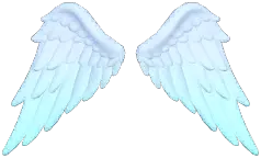 Lustrous Feathered Wings
