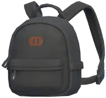 Casual Backpack