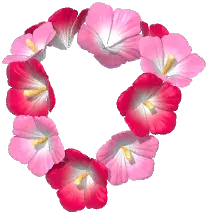 Hibiscus Garland